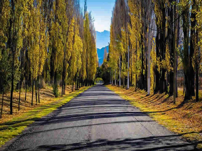 Fichas completas y datos de los municipios de Mendoza