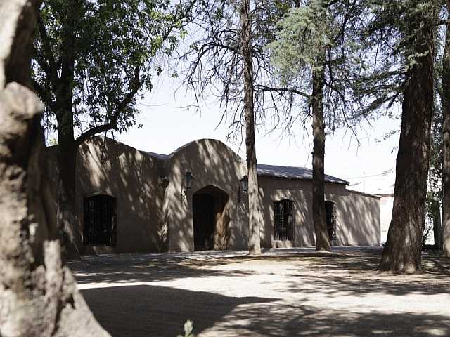 Pinar de Junín Mendoza Argentina