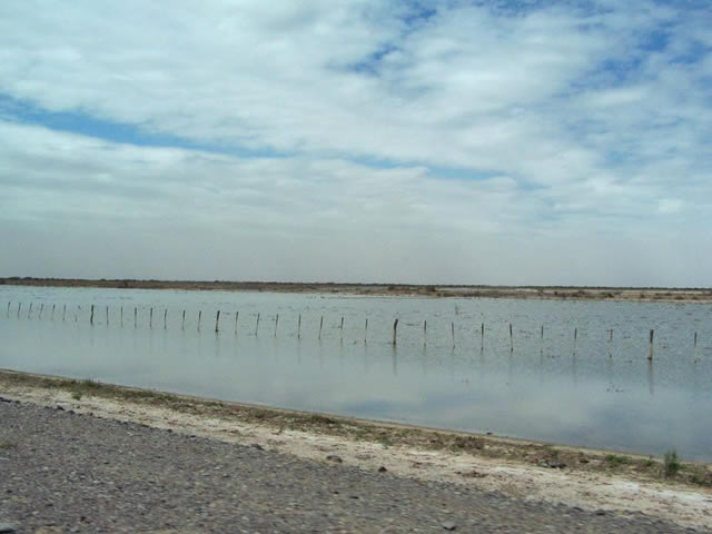 Lagunas de Guanacache Lavalle Mendoza Argentina
