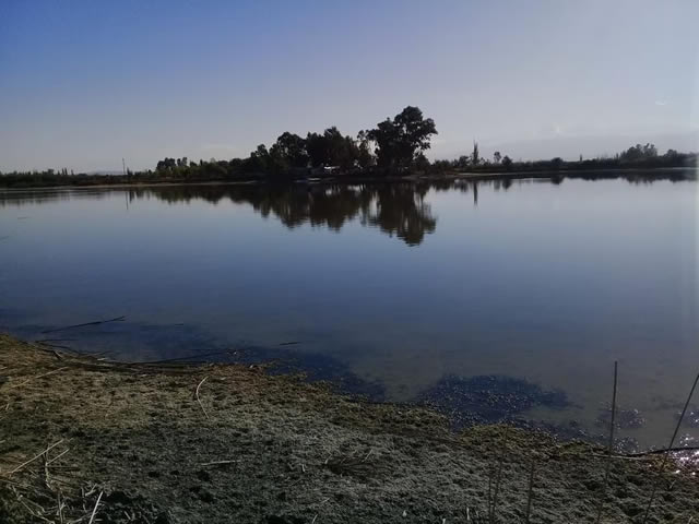 Laguna El Viborón Maipu Mendoza Argentina