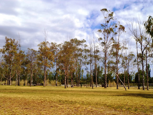Chachingo Maipu Mendoza Argentina
