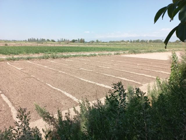 San Ignacio Colonia Bombal Maipu Mendoza Argentina