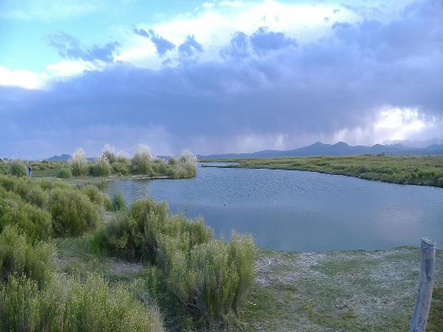 Laguna Llancanelo Agua Escondida Malargue Mendoza Argentina