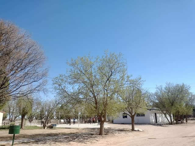 Escuela Pata Mora Malargue Mendoza Argentina