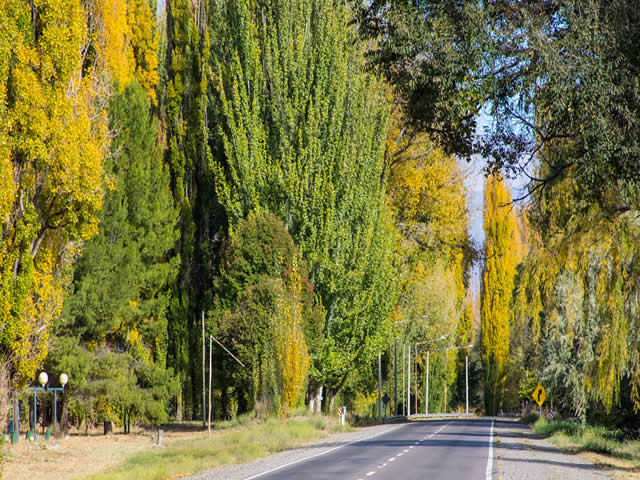 Ruta 143 San Carlos Mendoza Argentina
