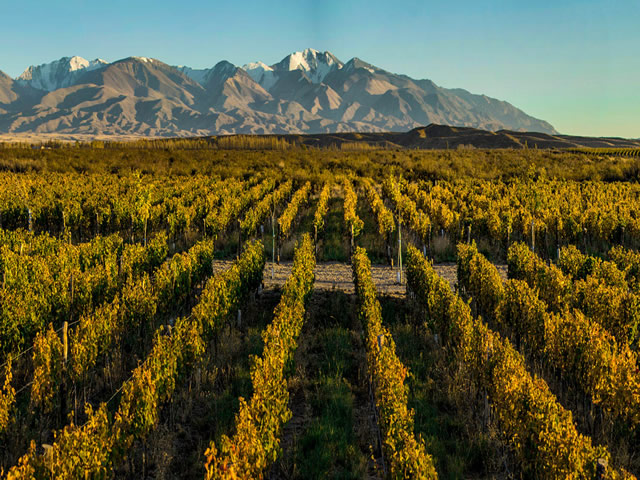 Zorzalwines.com Gualtallary Tupungato Mendoza Argentina